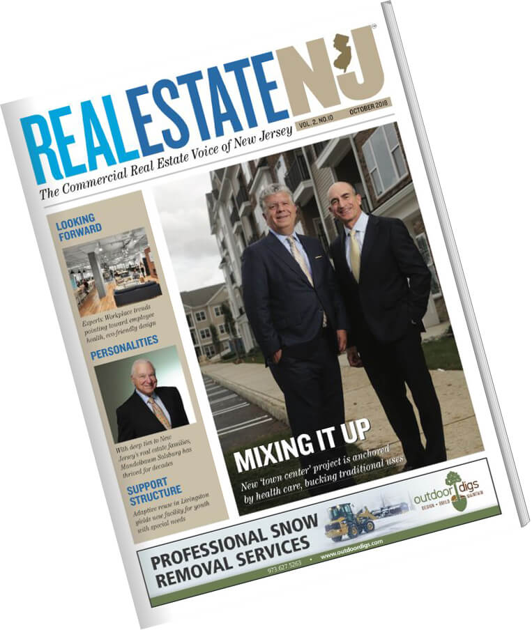 Real Estate New Jersey Mixing It Up Sonnenfeld + Trocchia
